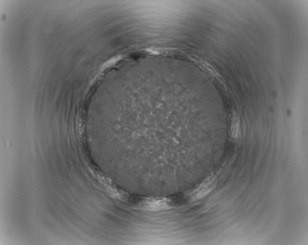 X0000060790569200511171311