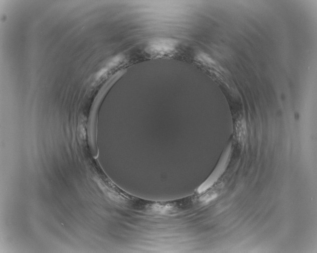 X0000060790570200511171311