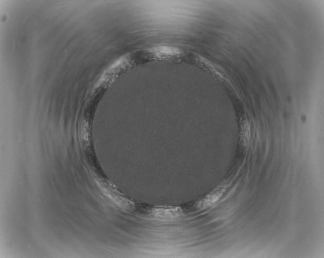 X0000060790571200511171311