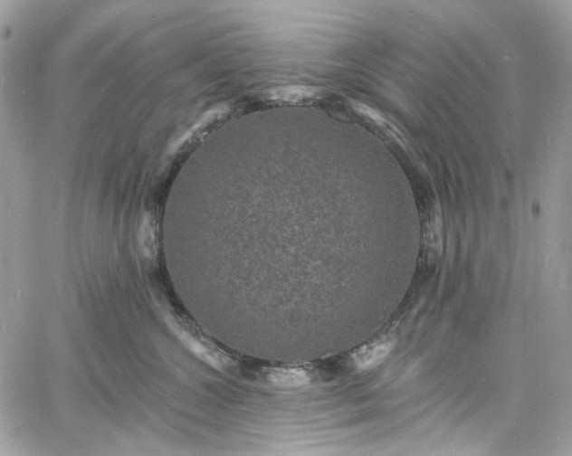 X0000060790572200511171311