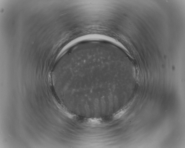 X0000060790573200511171311