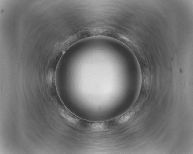 X0000060790574200511171311