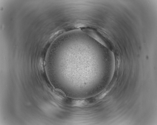 X0000060790575200511171311