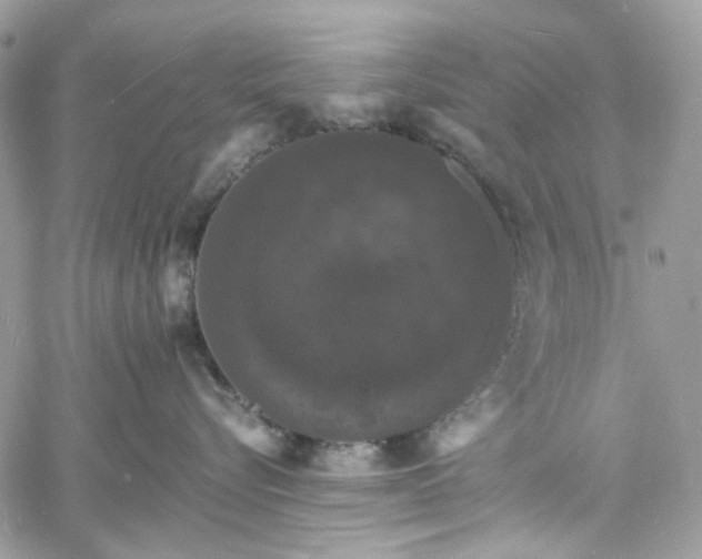 X0000060790576200511171311