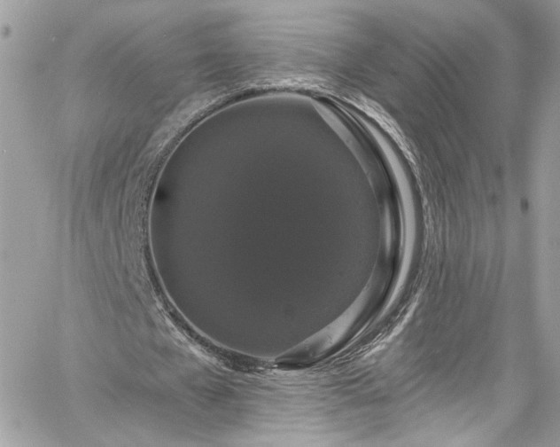 X0000060790577200511171310