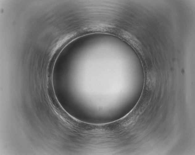 X0000060790578200511171310