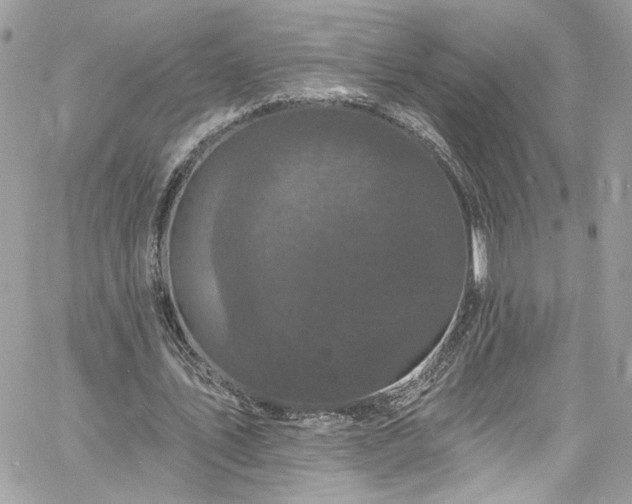 X0000060790579200511171310