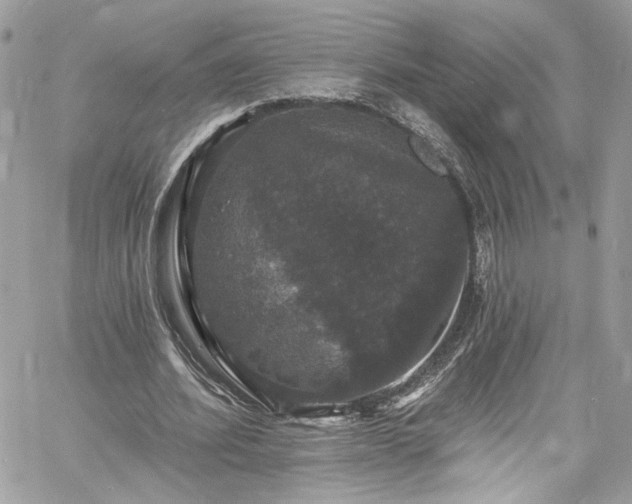 X0000060790580200511171310