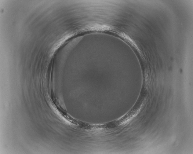 X0000060790581200511171310