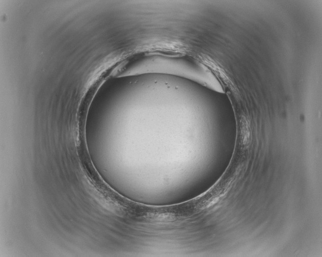 X0000060790582200511171310