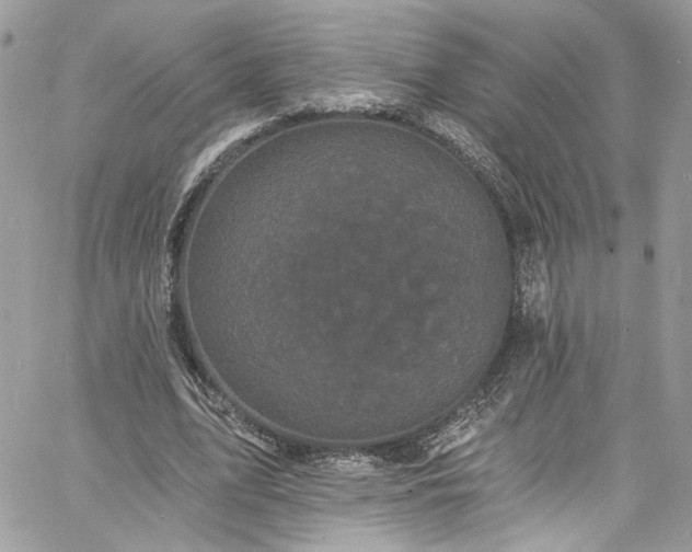 X0000060790583200511171310