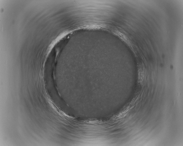 X0000060790584200511171310