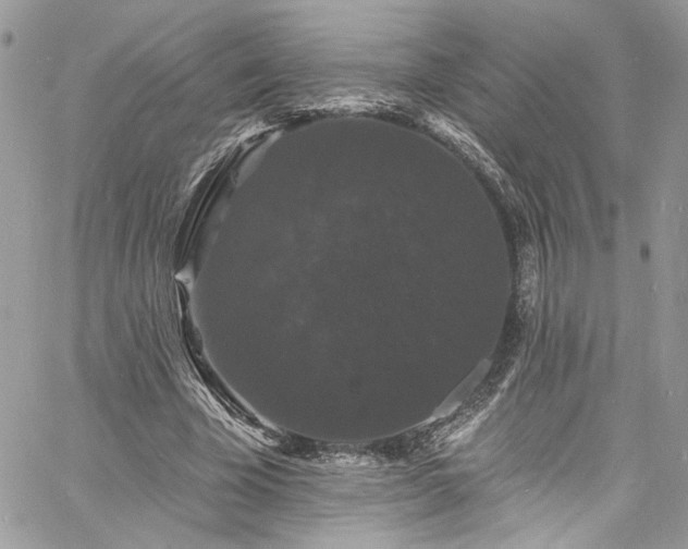 X0000060790585200511171310