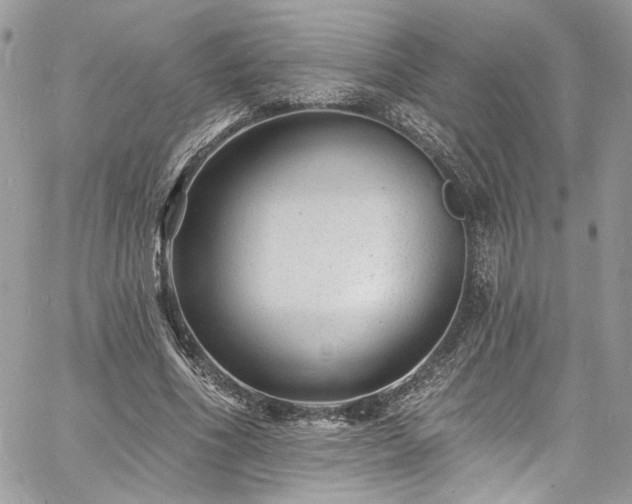 X0000060790586200511171310