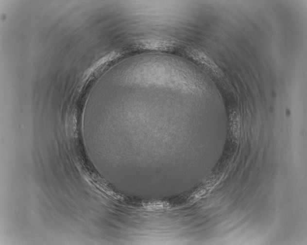 X0000060790587200511171310