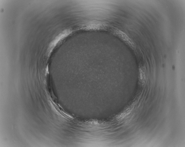 X0000060790588200511171310