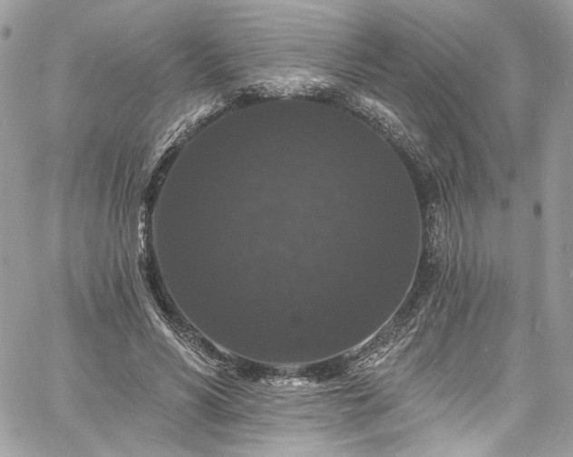 X0000060790590200511171310