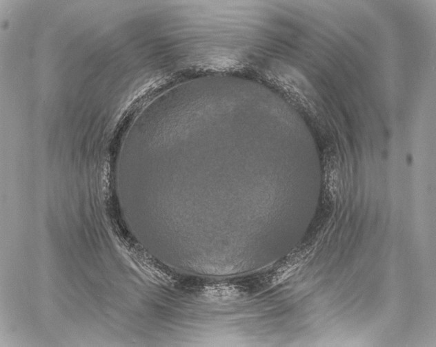 X0000060790591200511171310