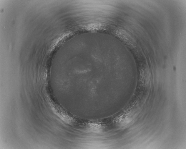 X0000060790592200511171310