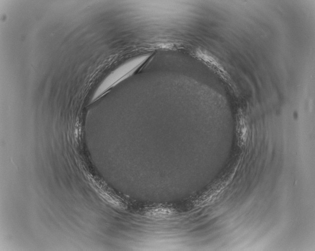 X0000060790593200511171310