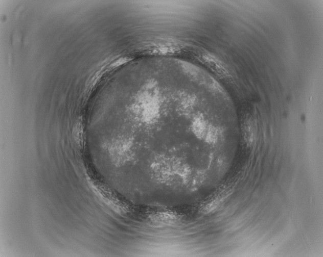 X0000060790594200511171310