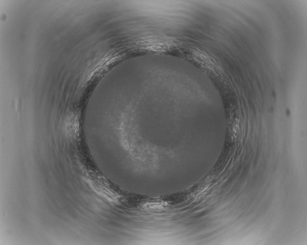 X0000060790595200511171310