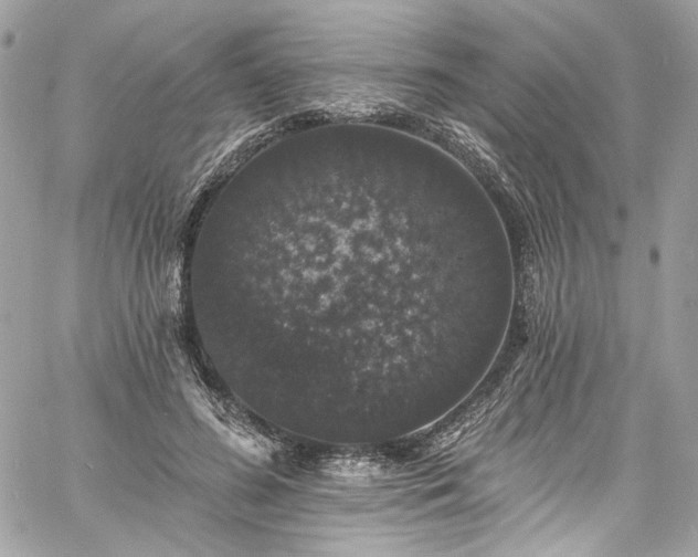 X0000060790596200511171310