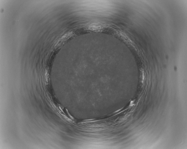 X0000060790597200511171310