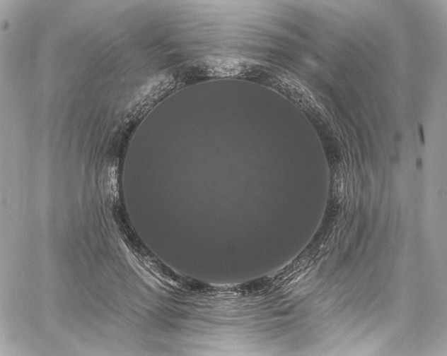 X0000060790598200511171310