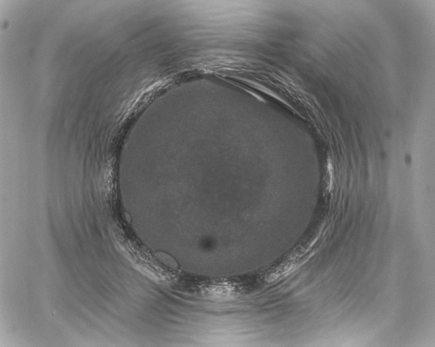 X0000060790600200511171310