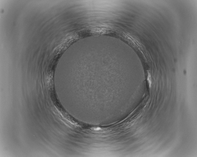 X0000060790601200511171310