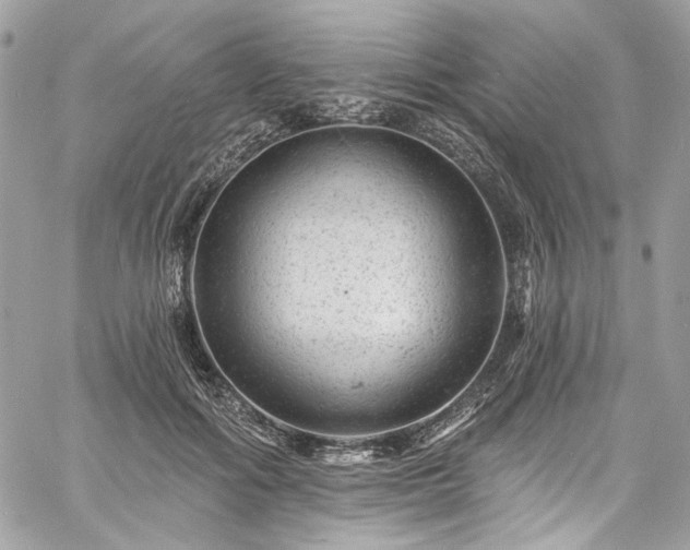 X0000060790602200511171310