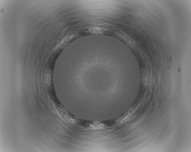 X0000060790603200511171310