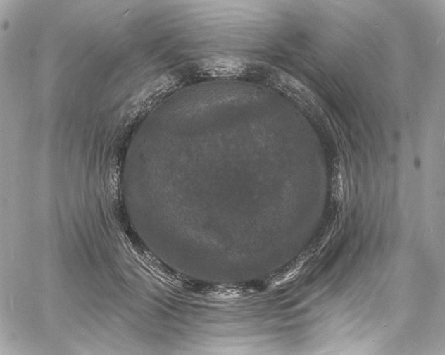 X0000060790604200511171310