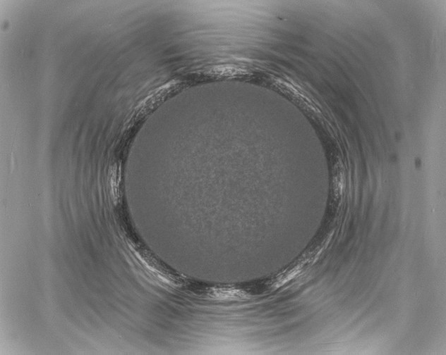 X0000060790605200511171310