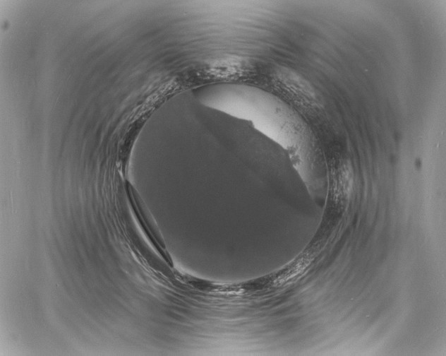 X0000060790606200511171310