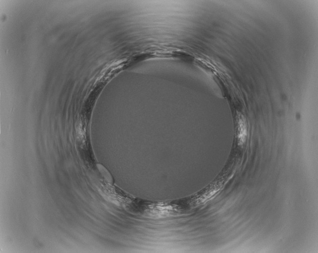 X0000060790607200511171310