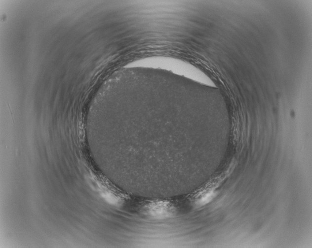 X0000060790609200511171310