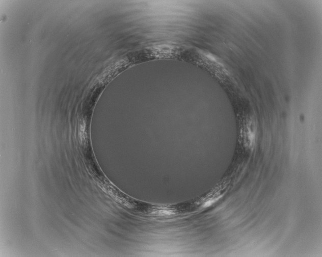 X0000060790610200511171310