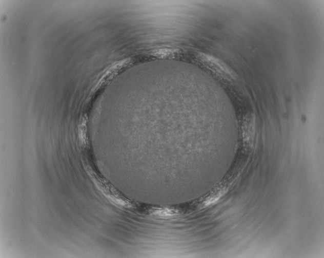 X0000060790611200511171310