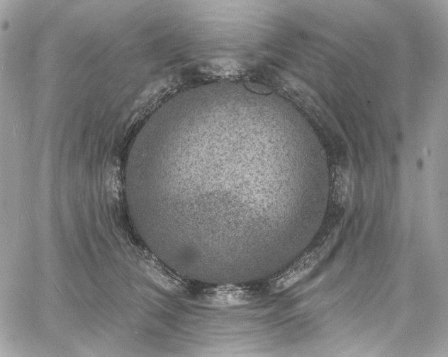 X0000060790612200511171310