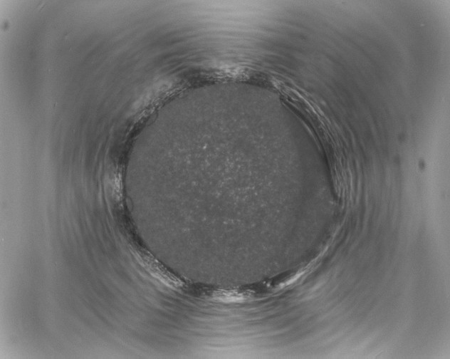 X0000060790613200511171310