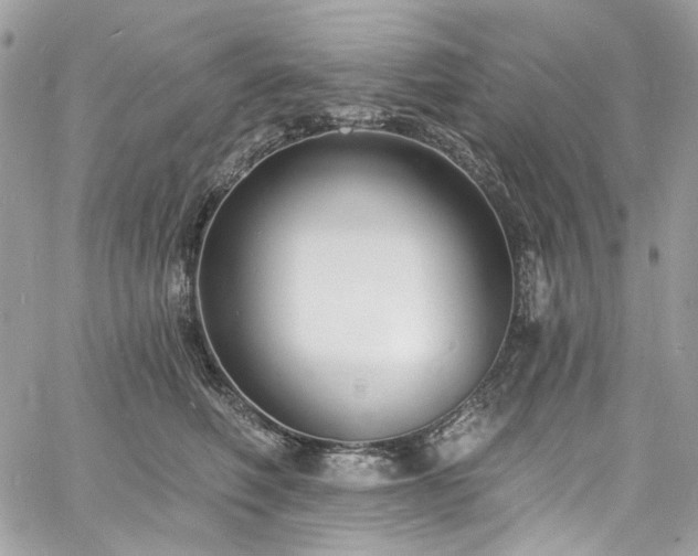 X0000060790614200511171310