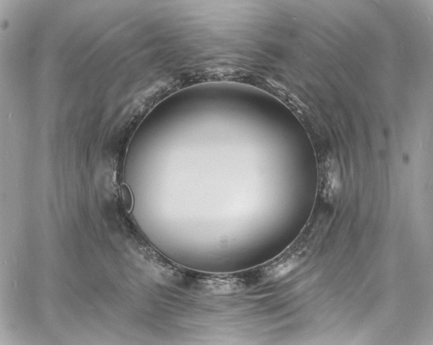 X0000060790615200511171310