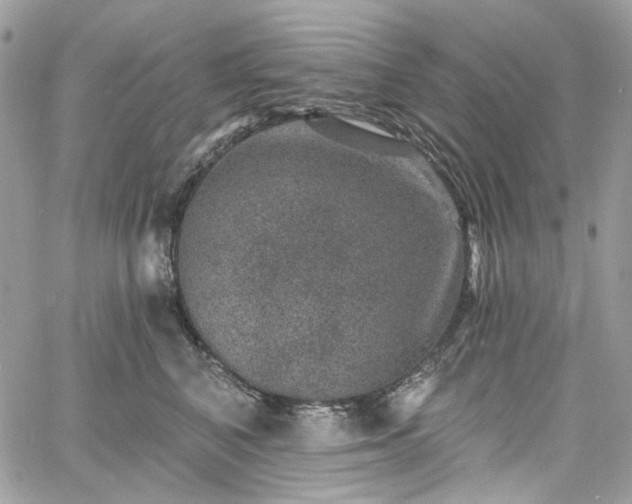 X0000060790616200511171310