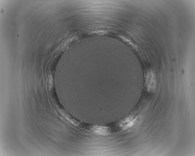 X0000060790617200511171310