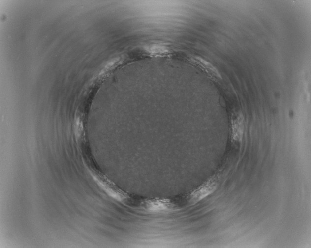 X0000060790618200511171310