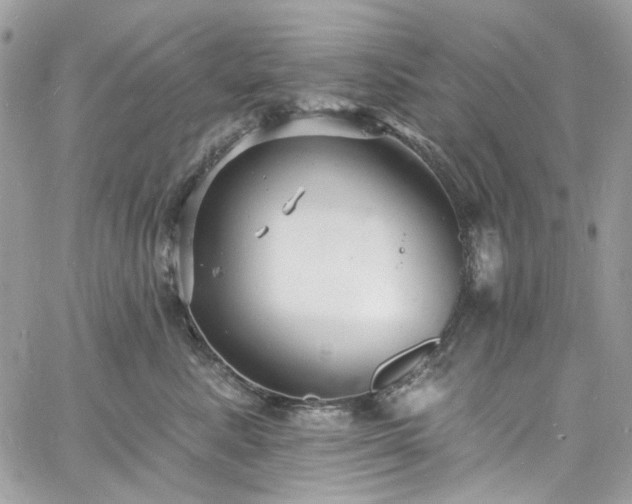 X0000060790619200511171310