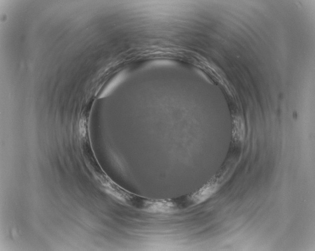 X0000060790621200511171310