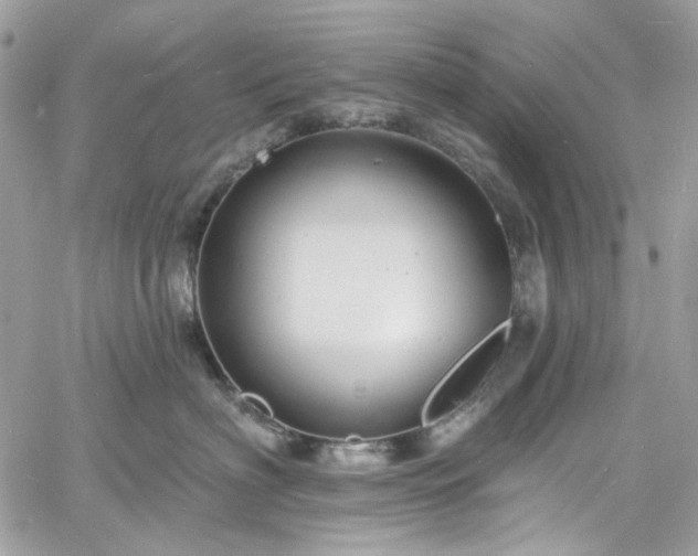 X0000060790622200511171310